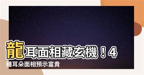 鼠耳面相|耳朵藏財運玄機 面相學曝龍耳、鼠耳一生富貴